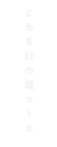 とある日の翔コース